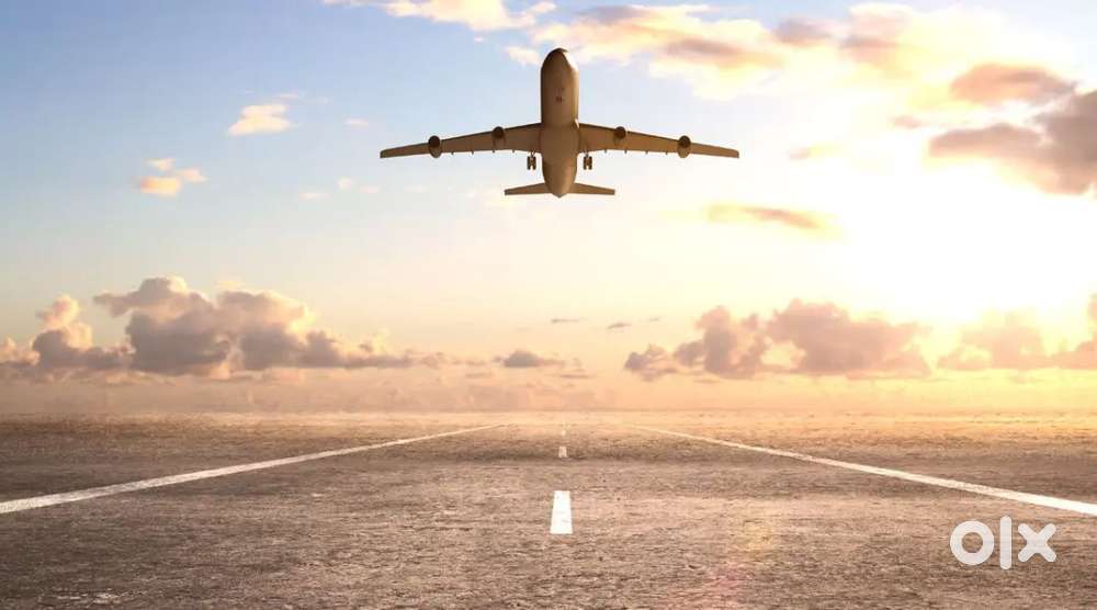 Jobs in IndiGo airlines call me for this job