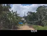 Vazhakulam Avoly 15 cent plot for sale
