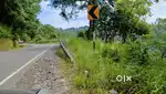 Jaka ha Diengpasoh  ha Jan iew 2500 kadon shi fit