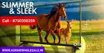 48 inch O led tv with sound bar Alexa inbuilt wifi 17849