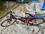 Avon cycle