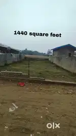 MIYADI PATTA LAND FOR SELL IN DIBRUGARH NEAR AMLAPATTY LALUKA GAON