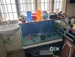 Aquarium Full setup sale