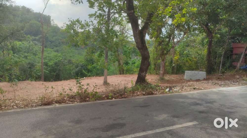 Roadside Land (43 Cent : 30m Road Frontage) near Nadakkal, Kollam
