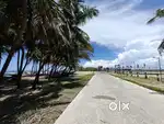 Beach plot