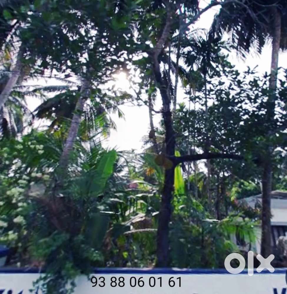 Kozhikode Easthill, 4.5 Cent plot for sale, per cent Asking ₹13Lakh