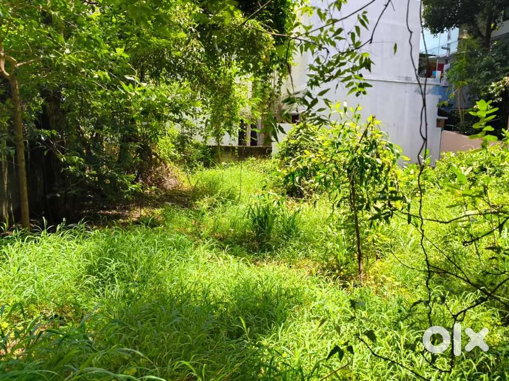 6 Cent Water Tank  koad Nagercoil Kanyakumari Dist