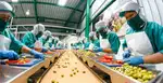 Protection packaging scanning and Labelling