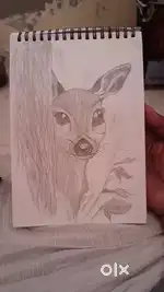 Draw painting sell