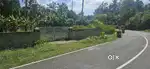 Pullad Elapungal Near Tar Road Frontage 20 Cent House Plot.