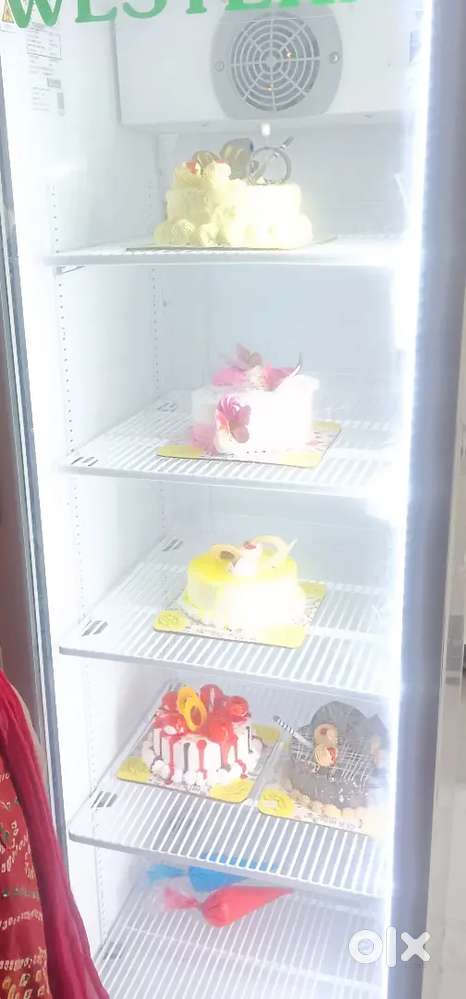 Visi cooler and ice cream fridge