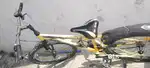 Best cycle