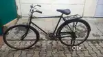 22 inch basic cycle