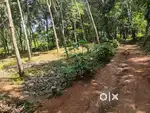 30 cent land property karabhoomi lorry plot for sale