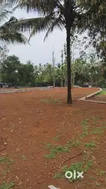 Thrissur anchery near regency club 20 cent