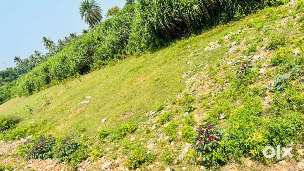 PLOT NEAR KALI DHABA, NH CHHATRAPUR, GANJAM (ODISHA)