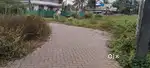 Aluva east kadungalloor 62 cent orginal purayidam