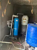 water plant 2 year old