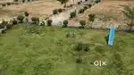 OPEN PLOT FOR SALE NEAR WARANGAL HIGHWAY