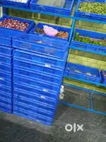 Multi purpose Plastic tray