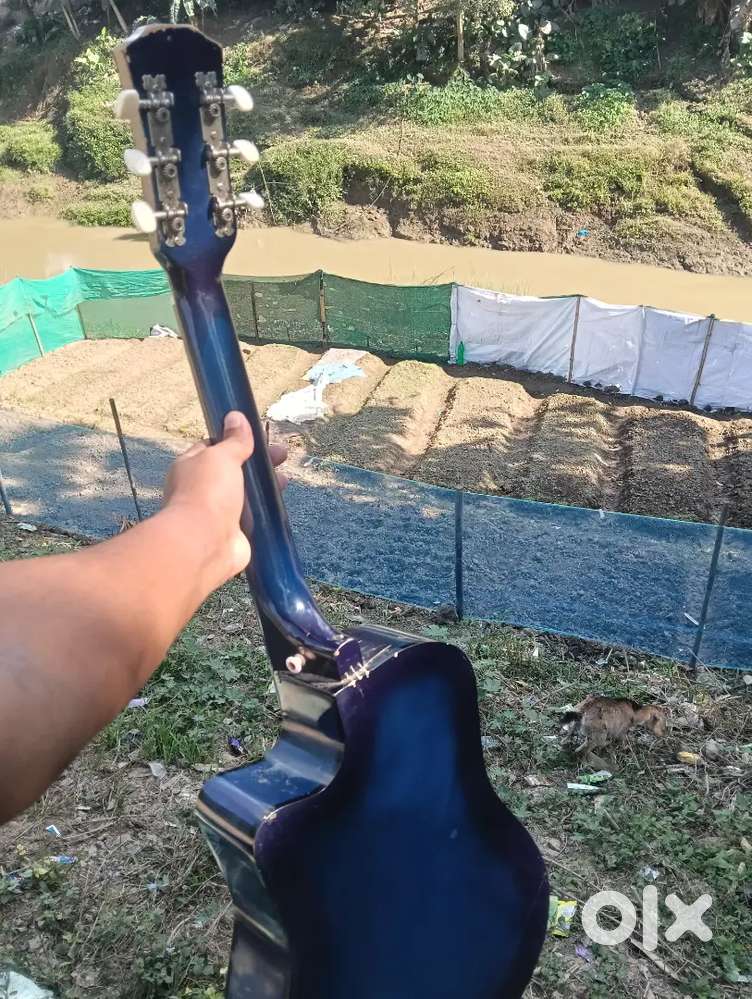 Guiter price 1k apamba ywradi hyrk o