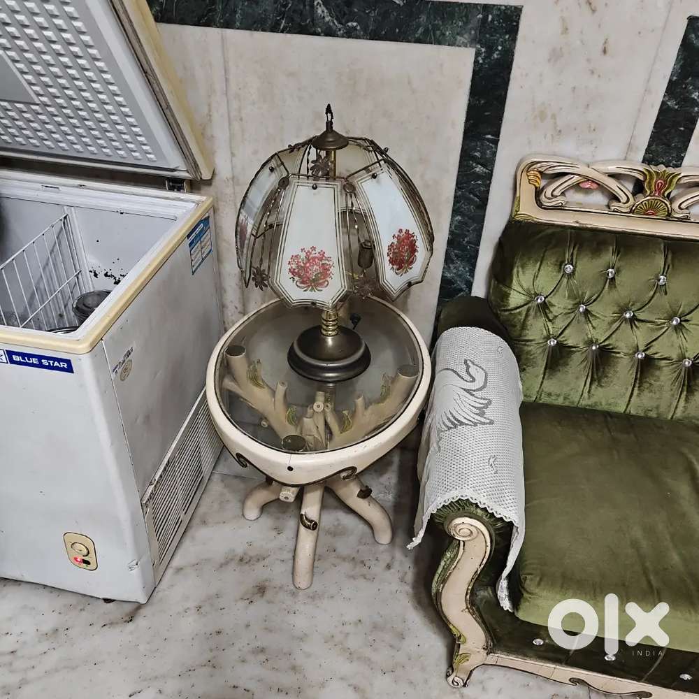 Deep freezer blue star