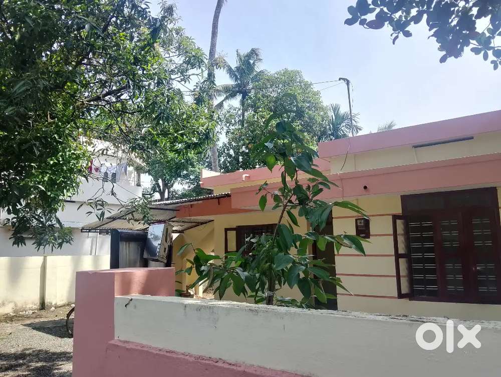 Independent 3BHK house, palarivattom