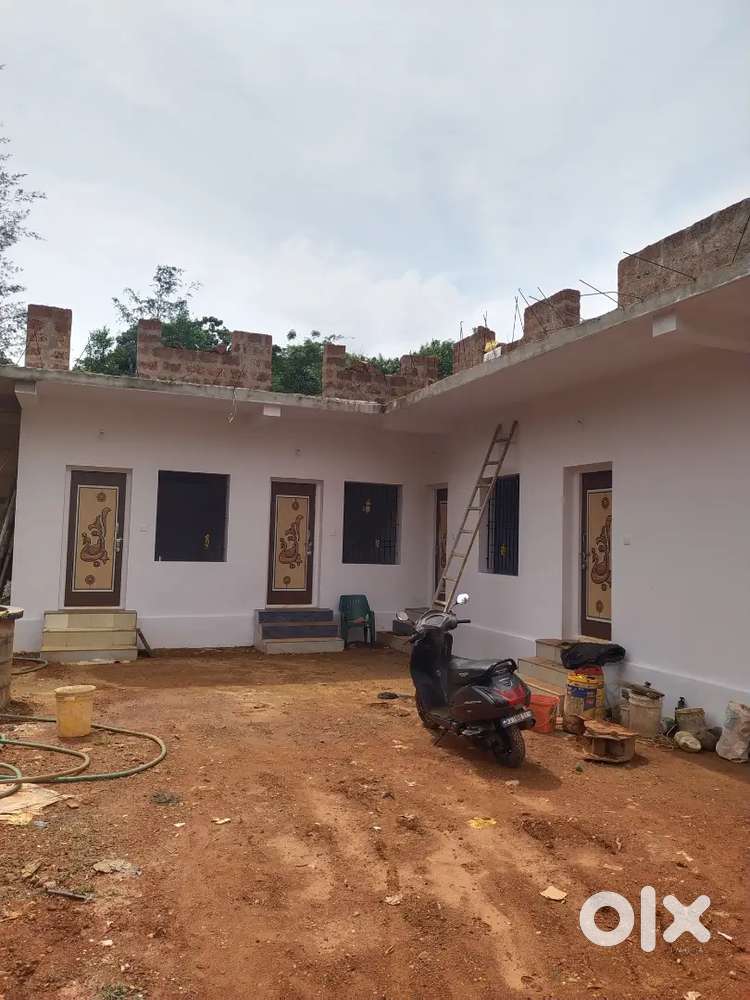 Single Room  for rent