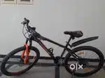 Frog Leopard Gear Cycle