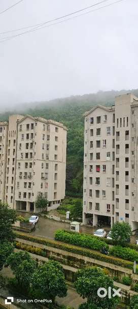Male flatmate required in 1 bhk flat, Xrbia Township Marunji