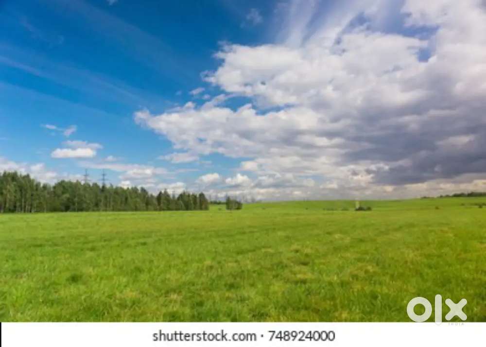 Jogipet: 50km Nanded highway/ One Acre 1 cr..Get 1.4cr in return