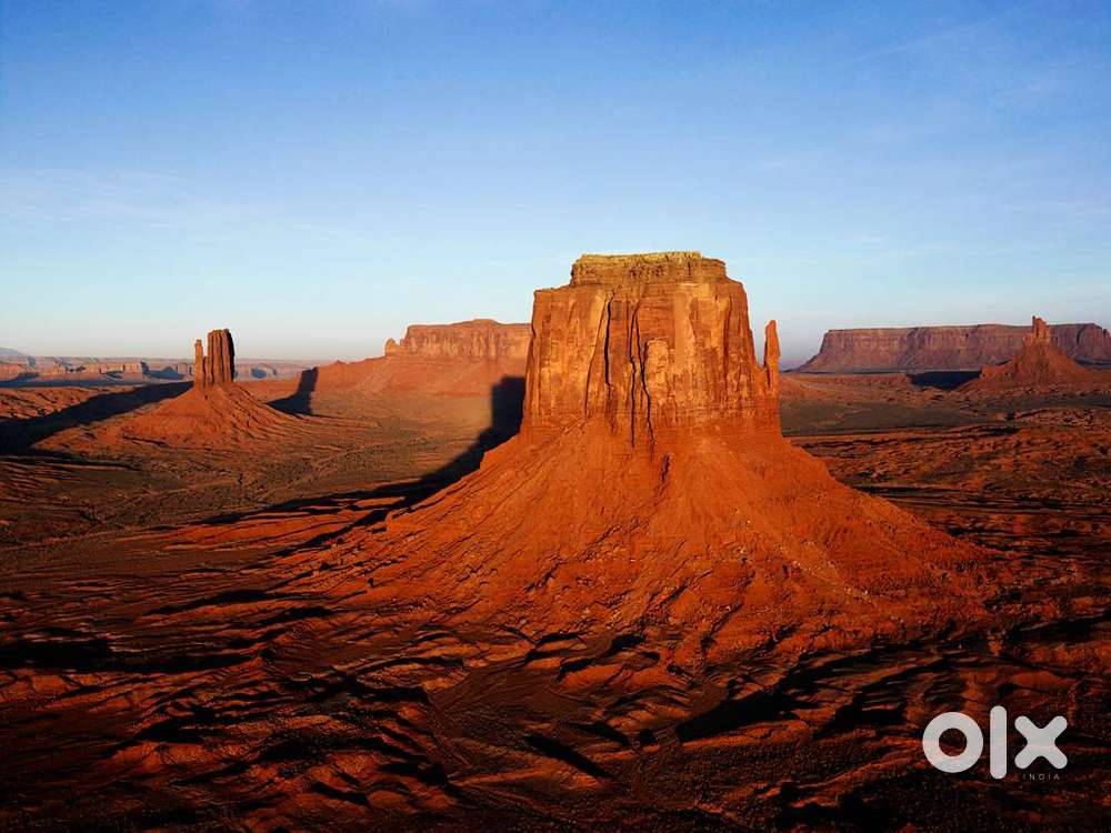 software  developer  wanted