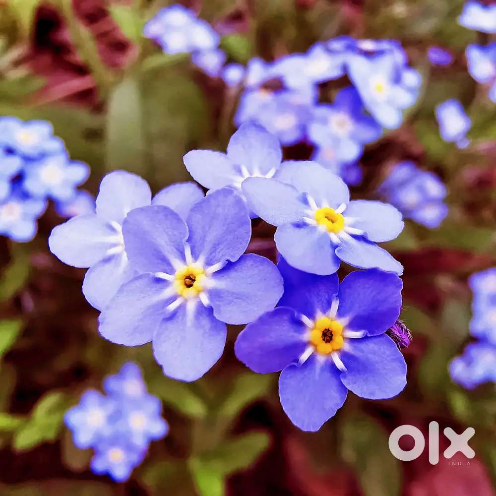 Maths physics chemistry teachers wanted