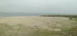 Beachside/beachfront house for homestay/vacation home Marari Alappuzha