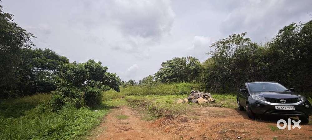 35 Cents of Prime Land for Sale in Manarcadu, Kottayam
