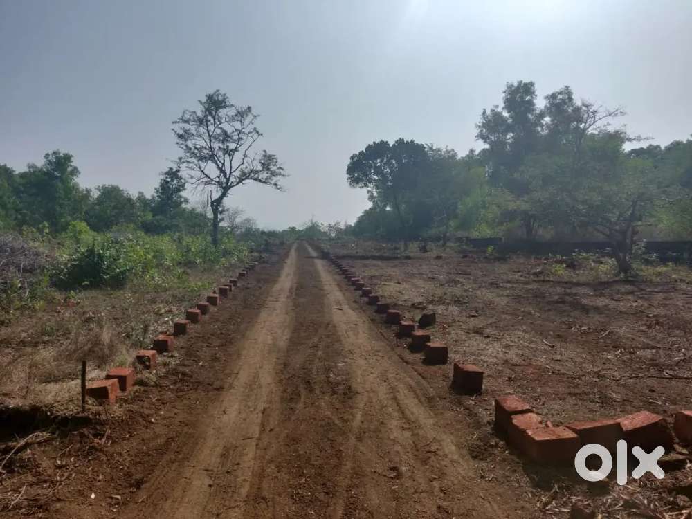 Plots available Near Chemeni town Could be used all purpose