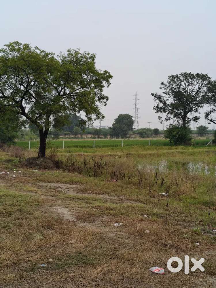 IMT kharkhoda se lagte plot bikau