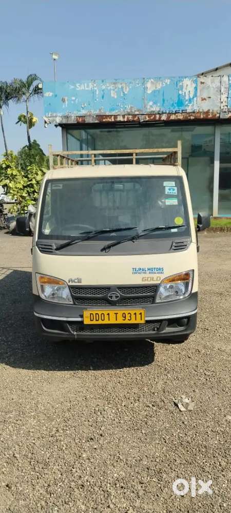 Tata ace gold petrol
