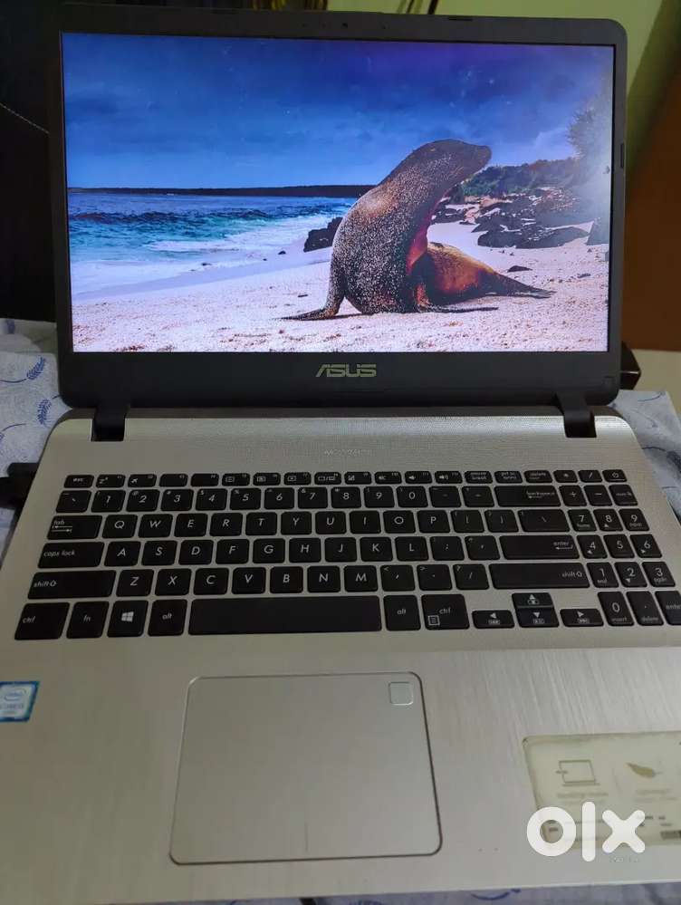 Asua Laptop