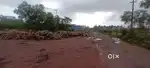 Kerala border 3 acar plott  sale total price 58 lakh