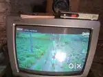Videocon tv
