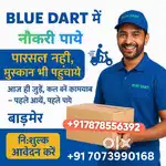 Delivery boy requirement