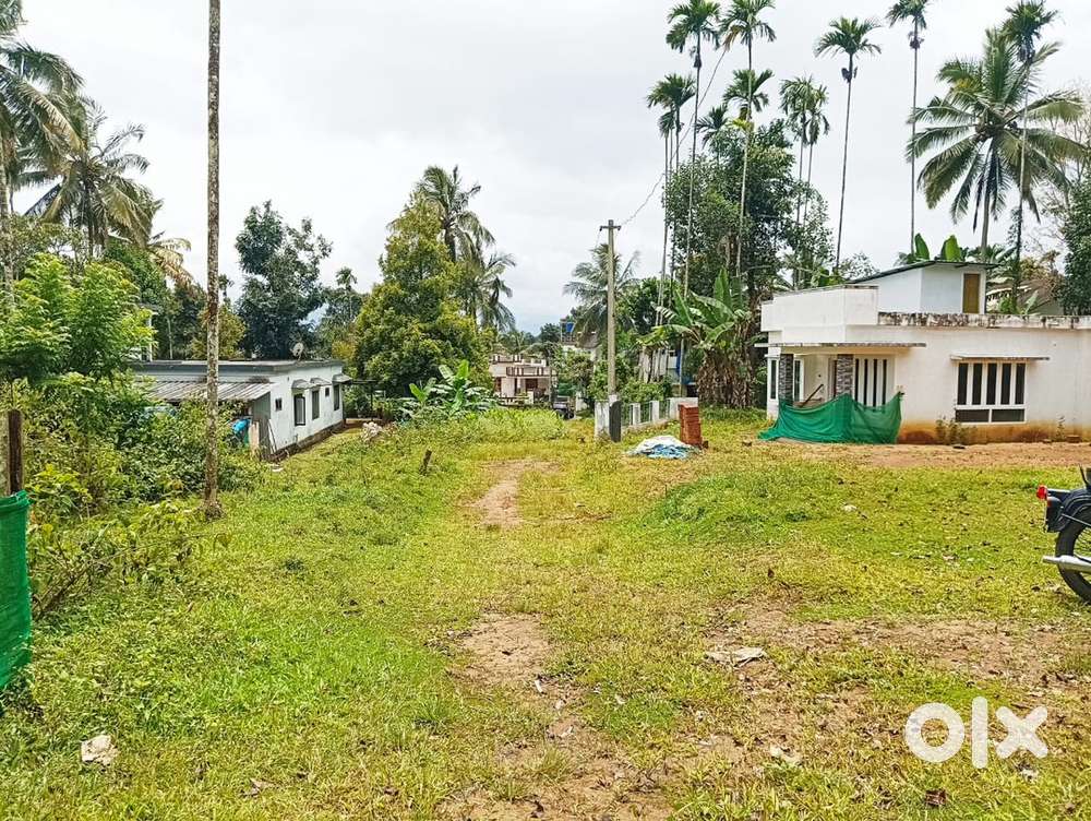 9 cent plot for sale at Kaniyambatta, Kambalakkad
