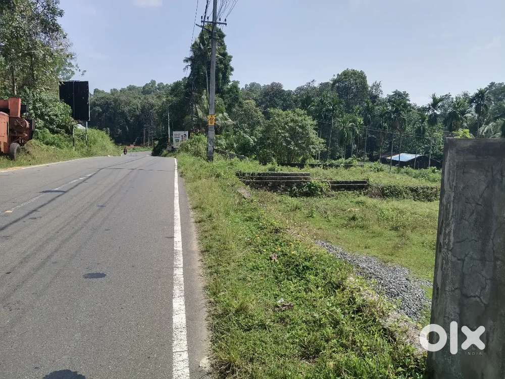 Veettur muvatupuzha kakanad main bus rout frontage 6,7, cent houseplot
