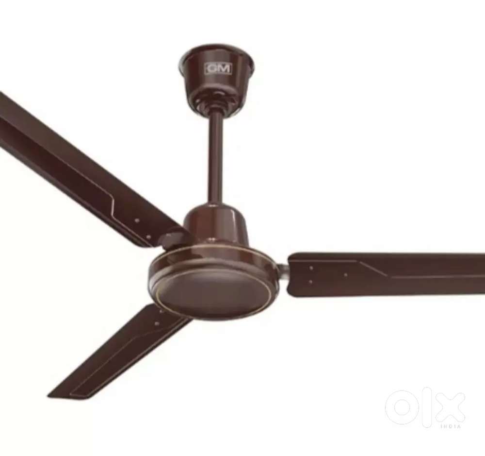 Ceeling fan good condition GM Company 10 months old