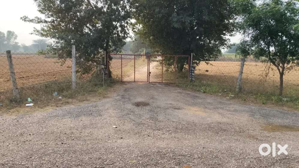 4 BIGHA farm near Mahipal University.