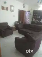 Sofa that is 8 years old purple in color