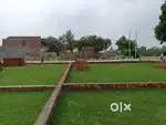 Plot boundary free