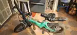 Cycle R for Rabbit