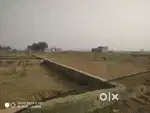 125gaj plot 3,75,000me+50gaj 1.5 lakh me